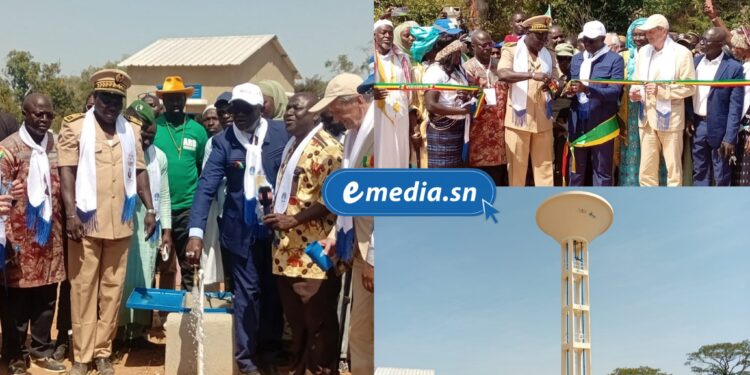 InCollage 20260201 112510329