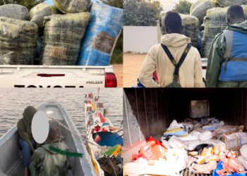 InCollage 20260201 210257752