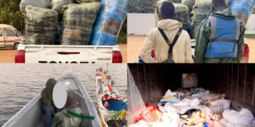 InCollage 20260201 210257752