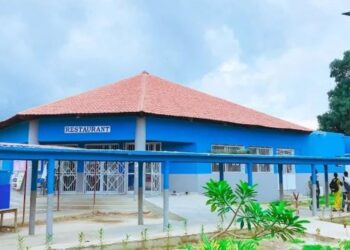 InCollage 20260209 165635805 1