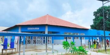 InCollage 20260209 165635805