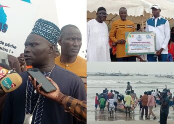 InCollage 20260210 132213603