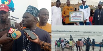 InCollage 20260210 132213603