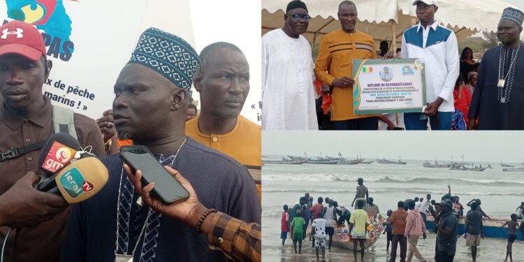 InCollage 20260210 132213603