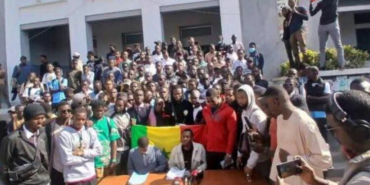 InCollage 20260212 131850478