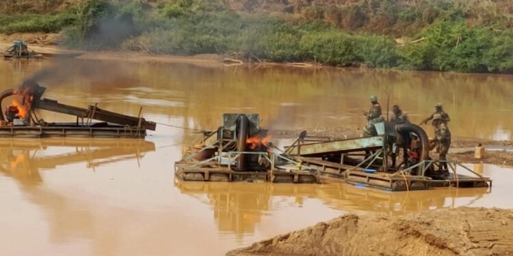 InCollage 20260216 153700400