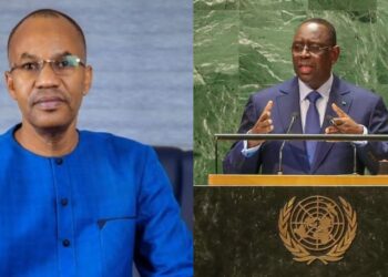 BALLE A TERRE 2 InCollage 20260218 144918853