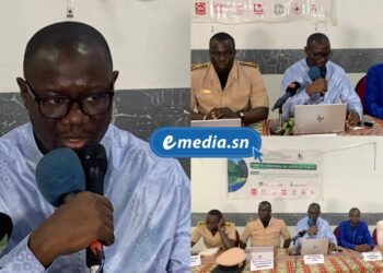 InCollage 20260220 105650547