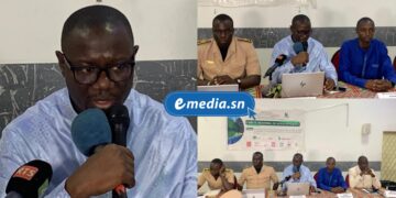 InCollage 20260220 105650547