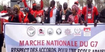 InCollage 20260223 200238092