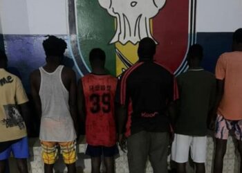 Touba : la Police de Ndamatou démantèle un réseau spécialisé dans la falsification de documents de véhicules 2 InCollage 20260225 105041726