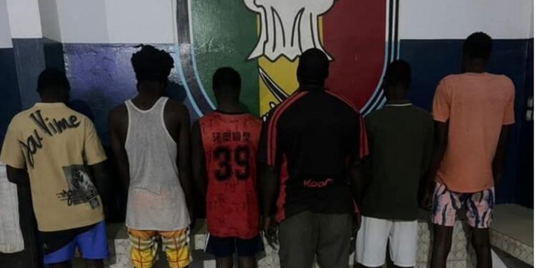 Touba : la Police de Ndamatou démantèle un réseau spécialisé dans la falsification de documents de véhicules 1 InCollage 20260225 105041726