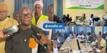 InCollage 20260225 181102917