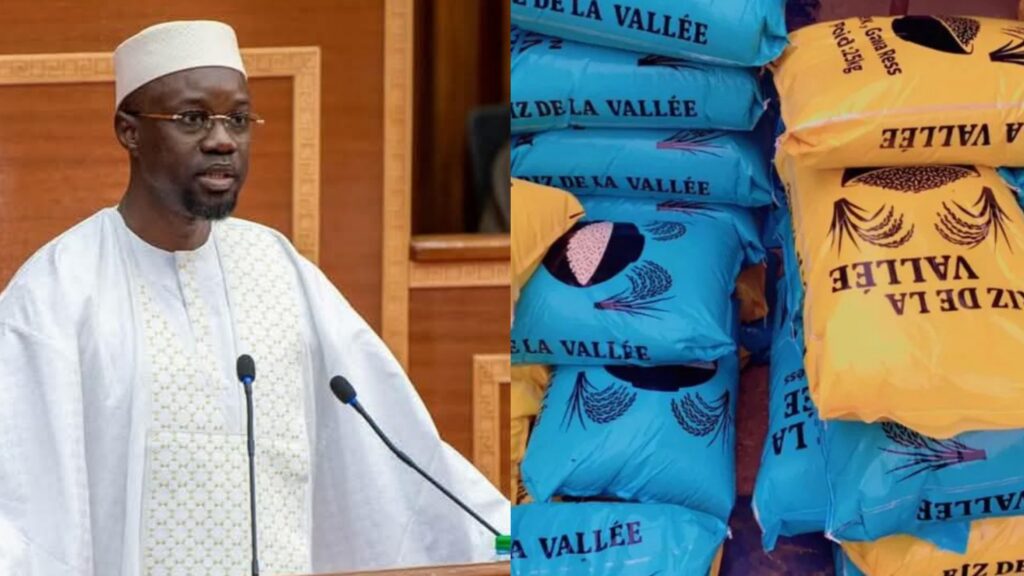 Souveraineté alimentaire : le PM Ousmane Sonko impose le riz local dans les  achats des structures publiques - EmediaSN