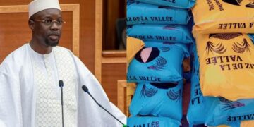 InCollage 20260227 093301479