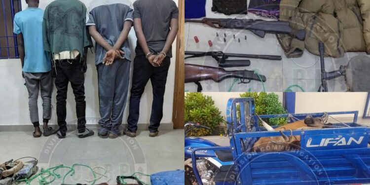 InCollage 20260227 132249692