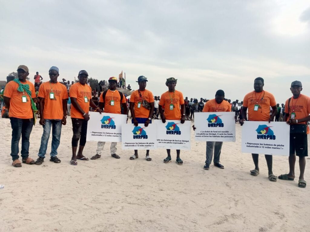 img 20260210 wa02961522160056866399701