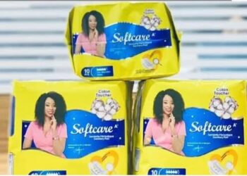 Produits Softcare au Sénégal : la mission d’information parlementaire prolonge ses travaux jusqu’au 5 avril 2026