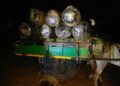 Trafic de drogue : 600 kg de chanvre indien saisis à Warang par la gendarmerie de Mbour