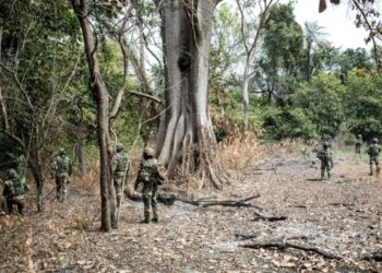 Casamance : trois militaires tués dans un accident de mortier lors d’affrontements avec les rebelles du MFDC dans le nord Sindian