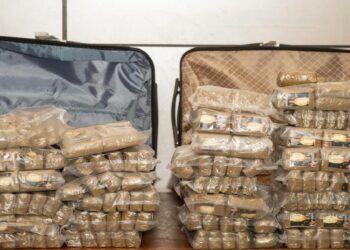 Près de 30 kg de haschich saisis à l’Aéroport international Blaise Diagne<br> 2 IMG 20260304 WA0567