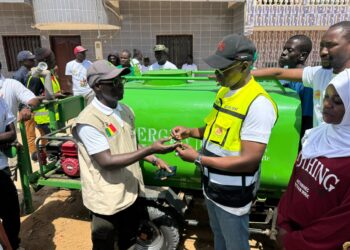 Mars vert : l’école élémentaire de l’Unité 16 des Parcelles Assainies au cœur d’une journée de reboisement