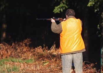 ‎Drame à Kolda : un touriste français abat accidentellement son pisteur lors d’une partie de chasse