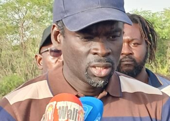 InCollage 20260301 134400229