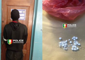 InCollage 20260302 132855149