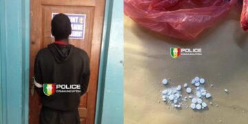 InCollage 20260302 132855149