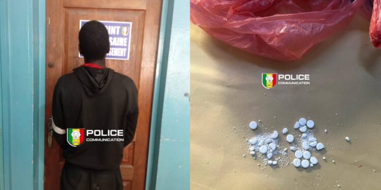 InCollage 20260302 132855149