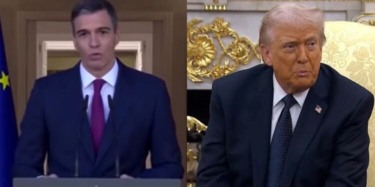 InCollage 20260304 091056712