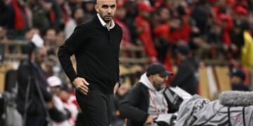 InCollage 20260304 122702797