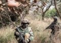 Casamance : un militaire tué et sept blessés lors de violents affrontements dans le nord Sindian