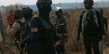 Tensions frontalières entre la Guinée, le Liberia et la Sierra Leone : la CEDEAO déploie une mission et appelle à la désescalade