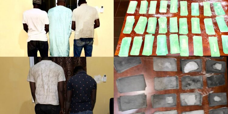 Billets noirs : les Douanes saisissent près de 730 millions de francs CFA dans la région de Kaolack