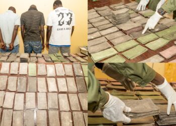 Les Douanes sénégalaises saisissent des « billets noirs » d’une valeur de plus d’un milliard de FCFA dans le centre du pays