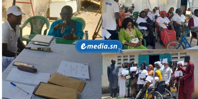 Ziguinchor : 75 jeunes formés et certifiés par le projet Agri-Jeunes dans une approche innovante