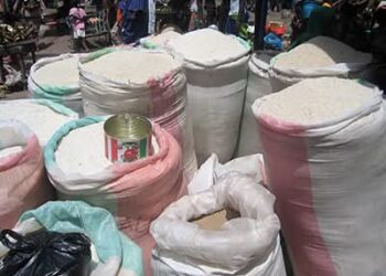 Riz local : l’État lance des mesures fortes pour soutenir la production et renforcer la souveraineté alimentaire