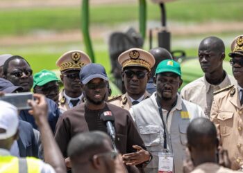 Tournée économique à Kolda : À Saré Coly Sallé, le président met en avant un projet agricole clé pour la souveraineté alimentaire