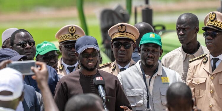Tournée économique à Kolda : À Saré Coly Sallé, le président met en avant un projet agricole clé pour la souveraineté alimentaire