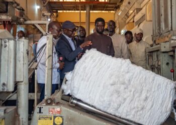 Vélingara : à la SODEFITEX, le Président met en avant la filière cotonnière comme levier de croissance, d’emplois et de souveraineté économique