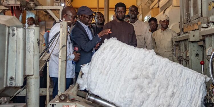 Vélingara : à la SODEFITEX, le Président met en avant la filière cotonnière comme levier de croissance, d’emplois et de souveraineté économique