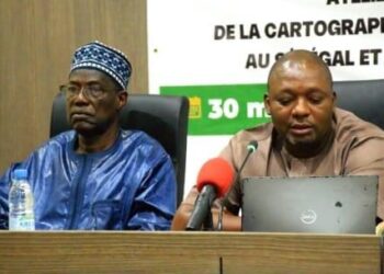 Riz en Afrique de l’Ouest : la CEDEAO renforce sa stratégie pour une filière plus compétitive