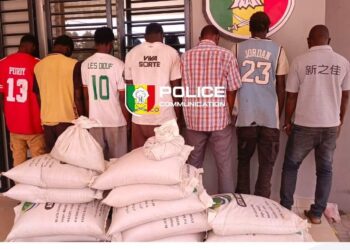 Bignona : huit personnes interpellées après le démantèlement d’un réseau de vol et de recel de sacs de poivre estimés à plus de 5 millions FCFA 4 Bignona : huit personnes interpellées après le démantèlement d’un réseau de vol et de recel de sacs de poivre estimés à plus de 5 millions FCFA