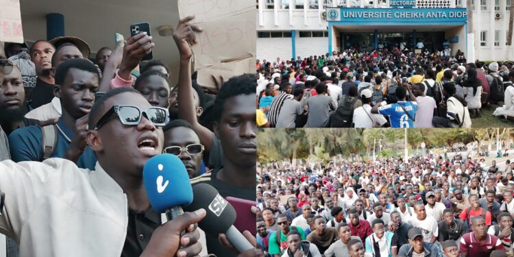 Deux mois après la mort d’Abdoulaye Ba, l’UCAD sous tension : les étudiants réclament justice, dénoncent l’inaction des autorités et exigent des réponses urgentes sur les bourses 1 Deux mois après la mort d’Abdoulaye Ba, l’UCAD sous tension : les étudiants réclament justice, dénoncent l’inaction des autorités et exigent des réponses urgentes sur les bourses