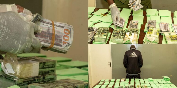 Faux monnayage au Sénégal : les Douanes saisissent 35 000 faux billets en euros et dollars d’une valeur de plus de 6 milliards FCFA à Thiaroye Azur