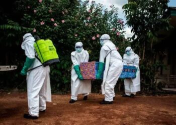 Ebola : l’OMS déclenche une urgence sanitaire internationale face à l’épidémie en RDC et en Ouganda