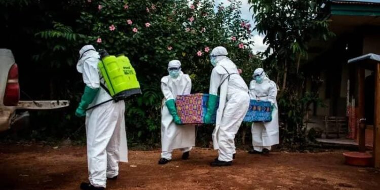 Ebola : l’OMS déclenche une urgence sanitaire internationale face à l’épidémie en RDC et en Ouganda