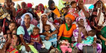 Diembéring : Baby Box Africa va  lancer les programmes “Juddu Box” et “Sukali Box” pour renforcer la santé maternelle et l’autonomisation des femmes